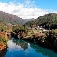 動画で楽しむ豊島屋