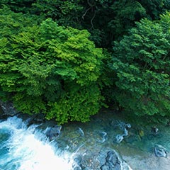 豊島屋のライブカメラ